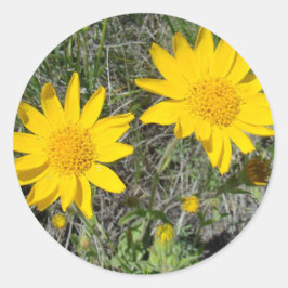 Adesivo F15 Flores Silvestres Amarelas Sneezeweed