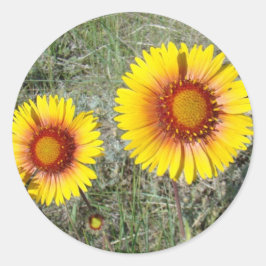 Adesivo F17 Flores Silvestres Amarelas Gaillardia