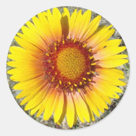 Adesivo F17a Flores Silvestres Amarelas Gaillardia