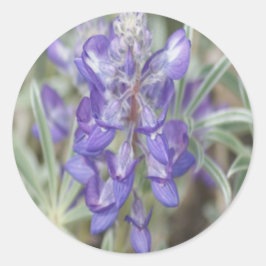 Adesivo F18 Flores Silvestres Roxas Anuais Lupino
