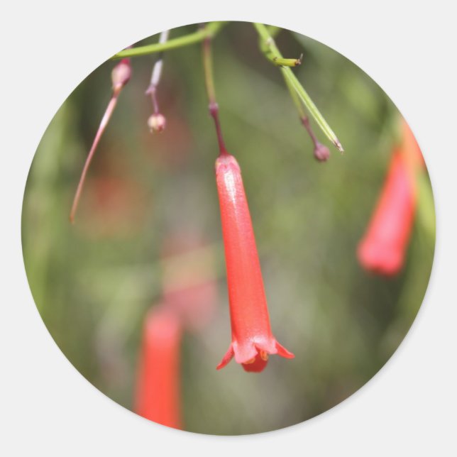 Adesivo Fábrica de Firecracker (Frente)