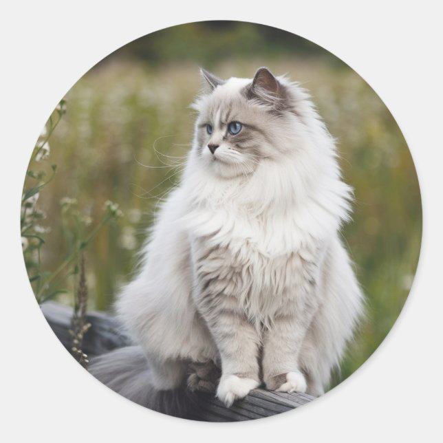 Adesivo Faça Sua Própria Foto Personalizada Pet Cat Dog An (Frente)