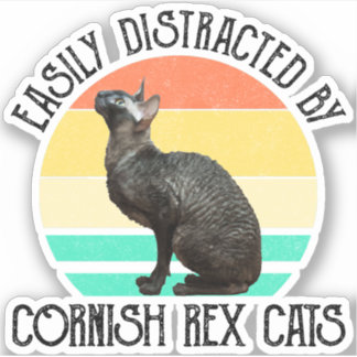 Adesivo Facilmente Distraído Por Gatos Cornish Rex