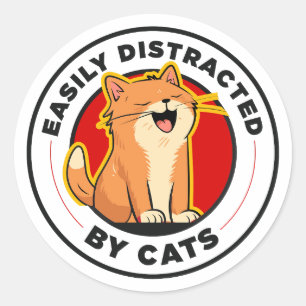 Adesivo Facilmente Distraído Por Gatos Design Engraçado Am