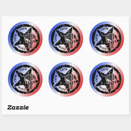 Adesivo FAFO Americano Punisher Skull & Star