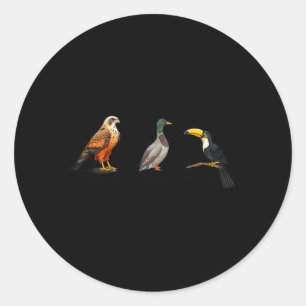 Adesivo Falcão Duck Toucan Birds Sutil Anti Trump 1