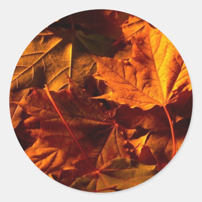 Adesivo Fall Rustic Deixa Foco Personalizado De Convite De (Frente)