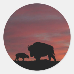 Adesivo Família Bison