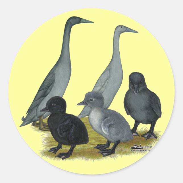 Adesivo Família de Pato Corredor Azul (Frente)