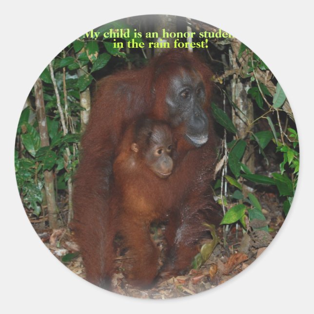 Adesivo Família Selvagem de Orangutan, Animais Bons (Frente)