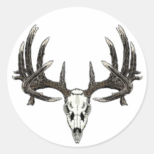 Adesivo Fanfarrão do Whitetail do troféu