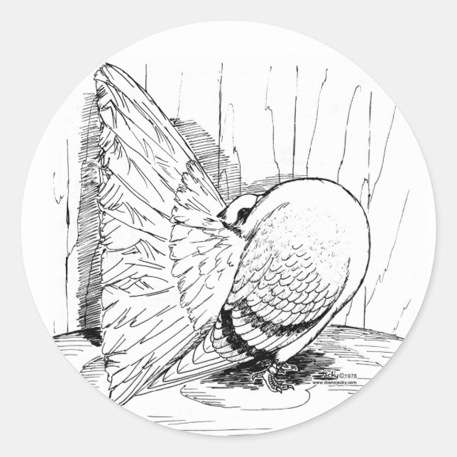 Adesivo Fantail Pigeon 1978 Saddle (Frente)