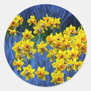 Adesivo Fantasia do primavera do Daffodil