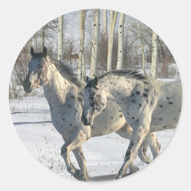 Adesivo Fantasy Horses: Wonderland de inverno (Frente)