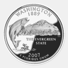 Adesivo Faux Washington State Quarter