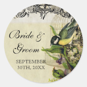 Adesivo Favor das focas-presentes marcações das aves amare