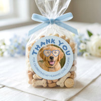 Favor de casamento de petiscos para cachorro Foto