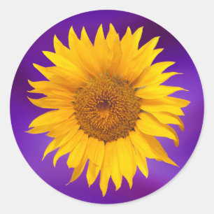 Adesivo Favor de Casamento Roxo Sunflower Elegant