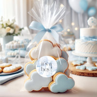 Favor Elegante Arco Azul É um Menino