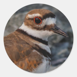 Adesivo Fechamento de um assassino