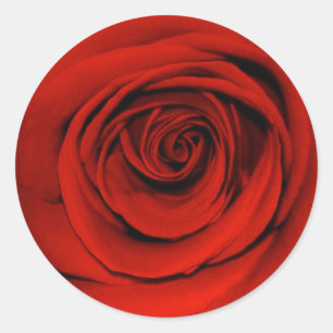 Adesivo Feche acima da rosa vermelha