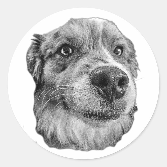 Adesivo Fecho e Leal (Frente)