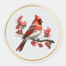 Fechos de Envelope Cardinal