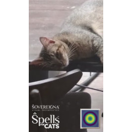 Adesivo Feitiços para Gatos: Gatito Calmo (Calmante)