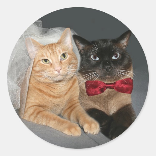 Adesivo Feline Bride e Groom (Frente)