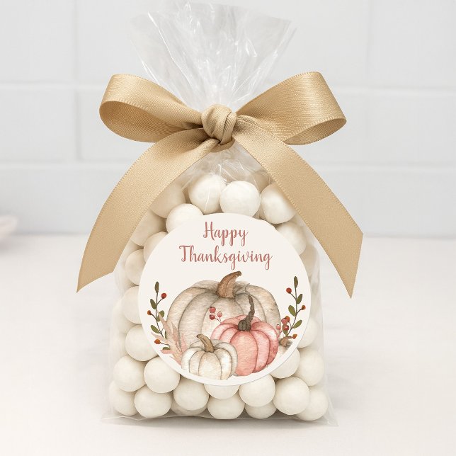 Adesivo Feliz Ação de Graças Rustic Boho White Pumpkin (Happy Thanksgiving sticker)