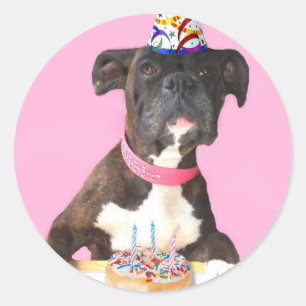 Adesivo Feliz Aniversário Boxinho
