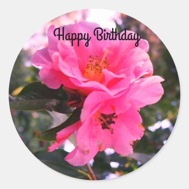 Adesivo Feliz Aniversário Pink Camellia #2-2 Stickers (Frente)