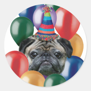 Adesivo Feliz aniversário Pug dog Stickers