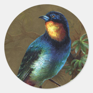 Adesivo Feliz ano novo de aves tropicais