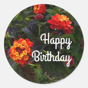 Adesivo Feliz Bday Orange Red Trailing Lantana #1 Stickers