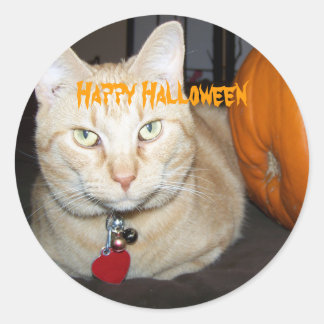 Adesivo Feliz Dia das Bruxas Gato Malhado Laranja Com Abób