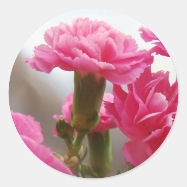 Adesivo Feliz Dia de as mães - Cravo (Frente)