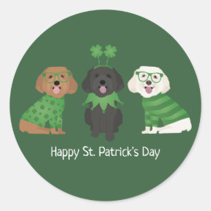 Adesivo Feliz Dia de São Patrício Maltipoo Dogs