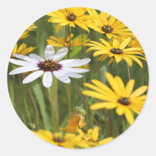 Adesivo Feliz Flores Amarelas Brilhantes Vestidas Vestidas