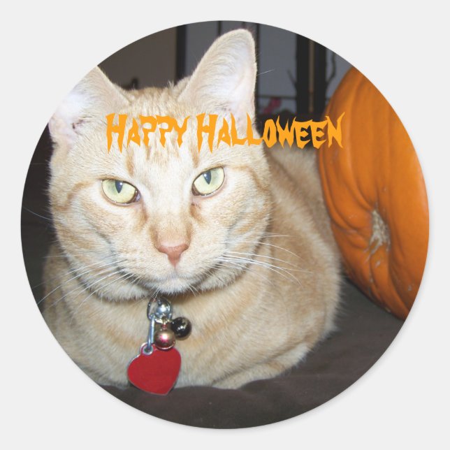 Adesivo Feliz Gato De Banheira Laranja De Halloween Com Ab (Frente)