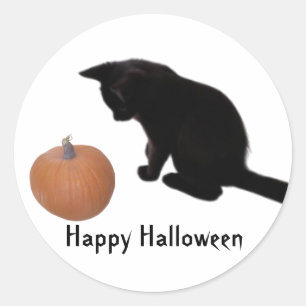 Adesivo Feliz Halloween Black Kitten e Orange Pumpkin