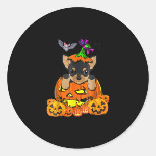 Adesivo Feliz Halloween Engraçado Chihuahua Pumpkin Gift