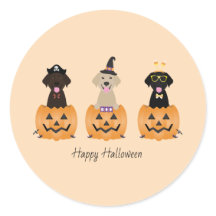 Feliz Halloween Labrador Retriever Cães Pumpkin