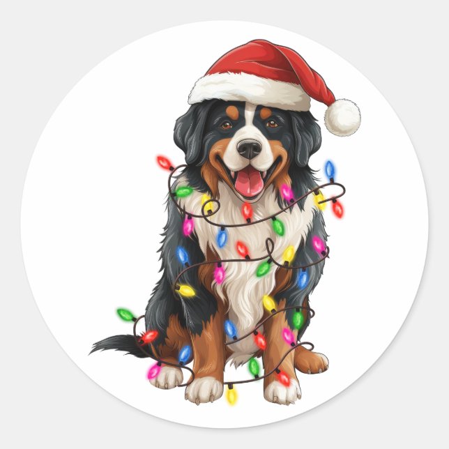 Adesivo Feliz Natal Bernese Mountain Dog Santa Hat (Frente)