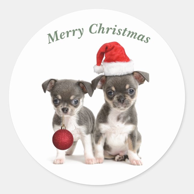 Adesivo Feliz Natal Chihuahua Puppies (Frente)