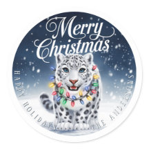 Feliz Natal, Fato de Neve e Leopardo