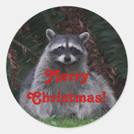 Adesivo Feliz Natal Forest Raccoon Holiday