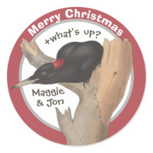 Feliz Natal +o que está acontecendo? John Gould pi