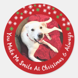 Adesivo Feliz Natal Sorrindo Cachorro Foto Engraçada Círcu