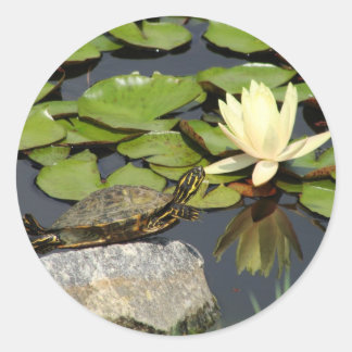 Adesivo Feliz Tartaruga num Lily Pond